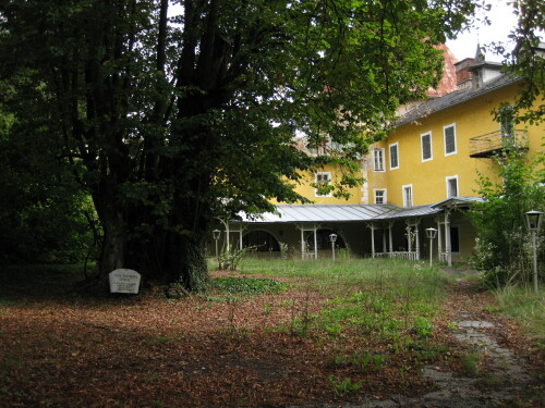 1000-jahrige-linde-in-millstatt-9128.jpeg