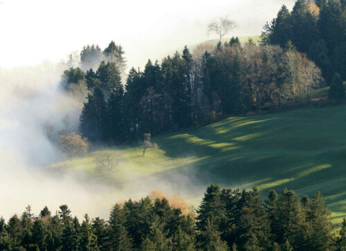 am-etzel-hoch-uber-dem-nebelgrau-schweiz-9086.jpeg