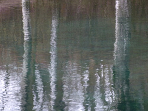 spiegelung-im-teich-9701.jpeg