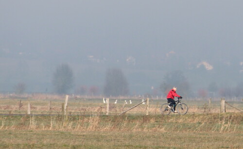 landschaft-mit-rot-10063.jpeg