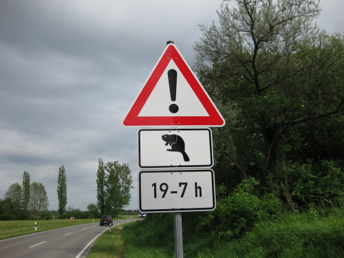 nagetierkreuzung-gestattet-von-19-bis-7-uhr-12358f2f1cbe23de5f9c3.jpeg