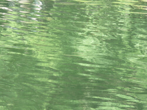 wasserfarben-11453.jpeg