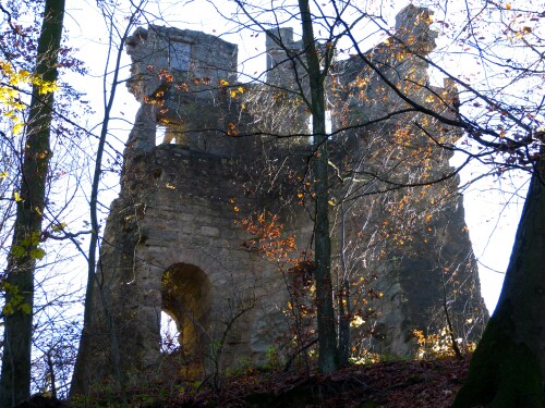 steigerwald-ruine-stollberg-13071.jpeg