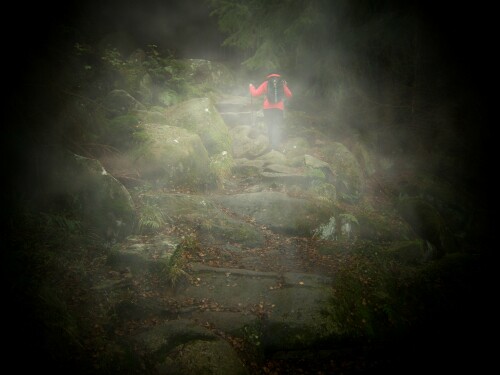 wandern-15411.jpeg
