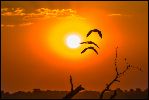 sonnenuntergang-13336.jpeg