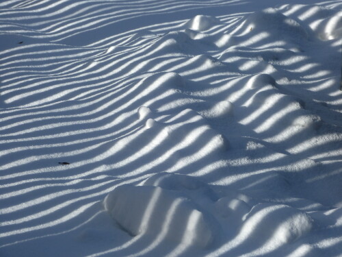 schneezaunschatten-13499.jpeg
