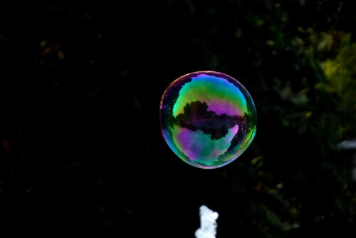 seifenblase-153376d0665f92b01b32c.jpeg
