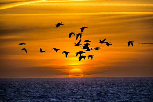 sonnenaufgang-helgoland-15437.jpeg