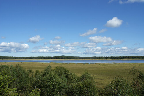 store-mosse-in-schweden-17781.jpeg