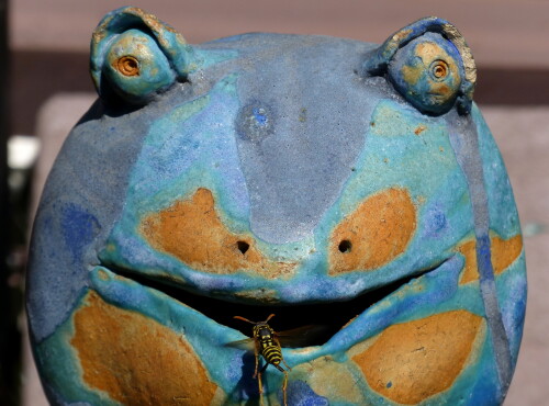 flugloch-in-der-hohle-des-frosches-17859.jpeg