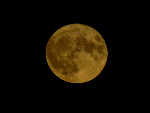 supervollmond-2016-11-14-180709945ee8cf9800ded.jpeg