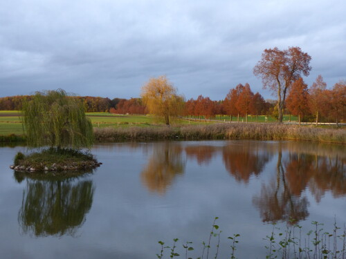 triesdorfer-inselweiher-im-herbst-18079.jpeg