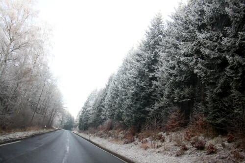 schelderwald-nordlich-von-oberscheld-18222.jpeg