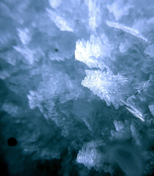 eisblattchen-18413.jpeg