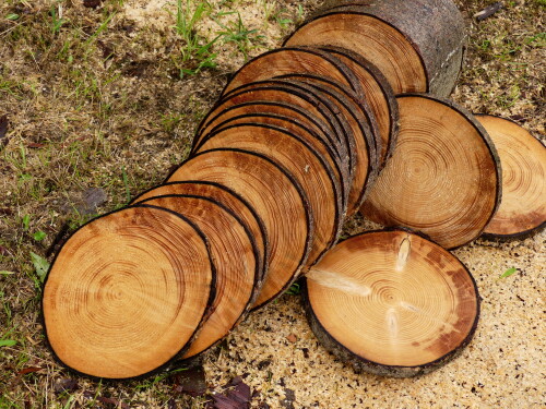10-kg-holzaufschnitt-19608.jpeg