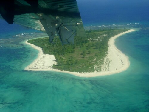 bird-island-131006c2207e47dbf27.jpeg