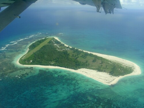 bird-island-13529c7e7385367d69c.jpeg