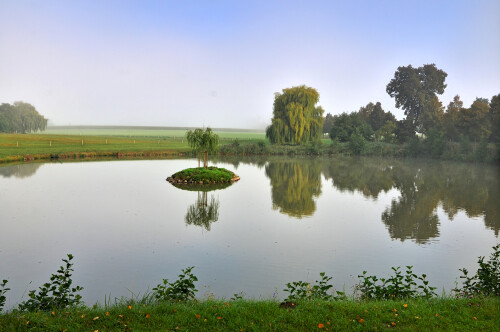 inselweiher-in-triesdorf-11957.jpeg
