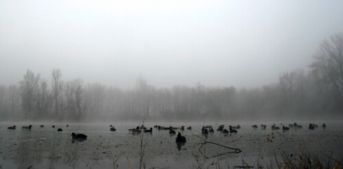 lake-side-690e5f55ec54aac8cd9.jpeg