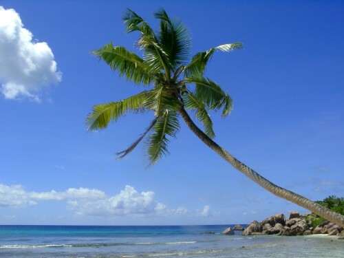praslin-seychellen-125858e484818705b86.jpeg