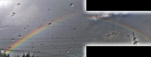 regenbogen-19766.jpeg