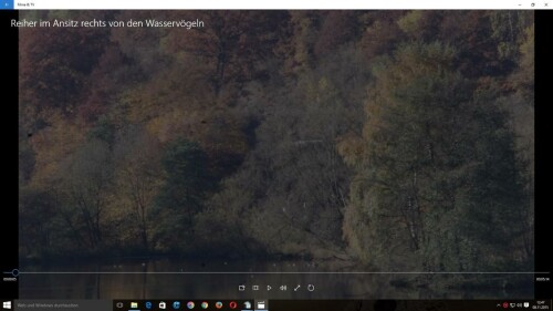 silberreiher-ardea-alba-l-1758-15453.jpeg