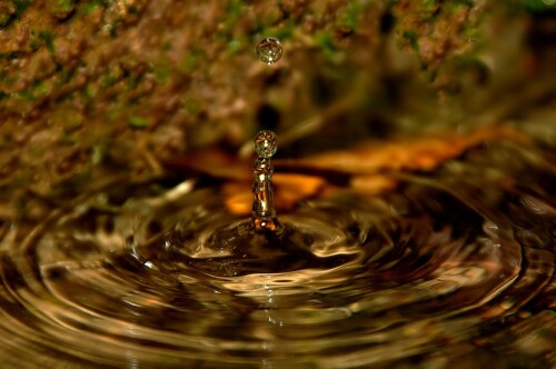 splash-1581b35d3e37a2e388ed.jpeg