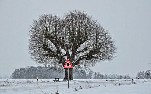 winterlinde-13277.jpeg