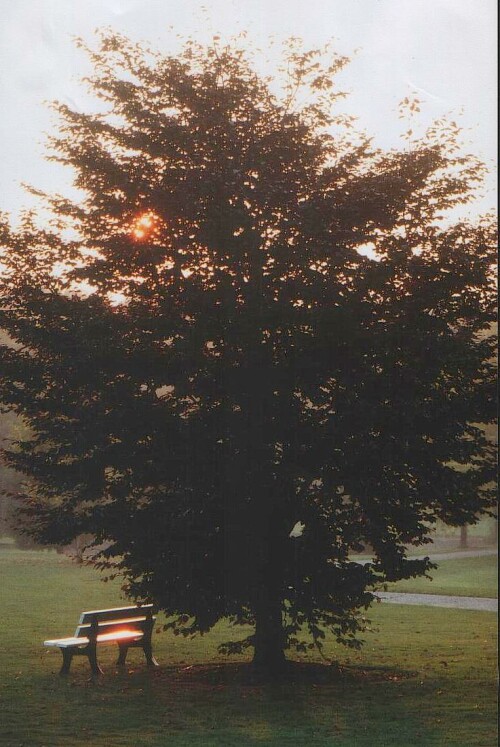 herbst-am-rodelberg-2599.jpeg