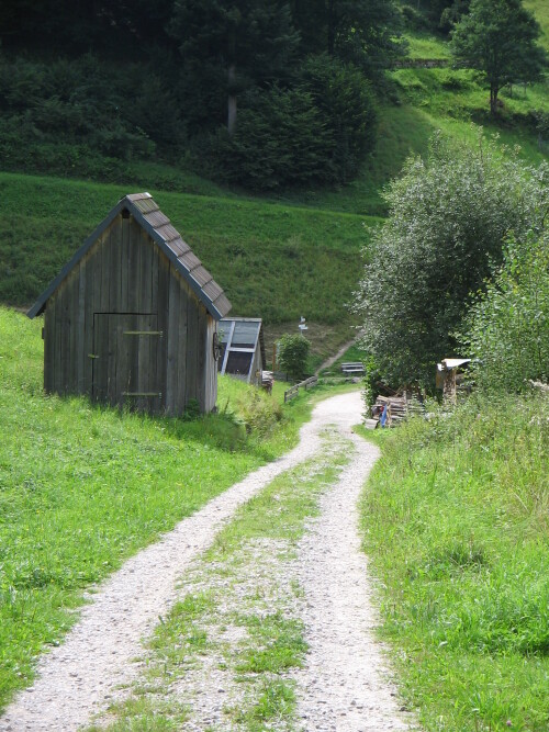 wanderweg-im-schwarzwald-4601.jpeg